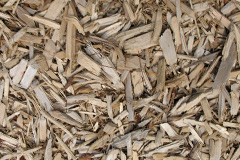 biomass boilers Penguithal